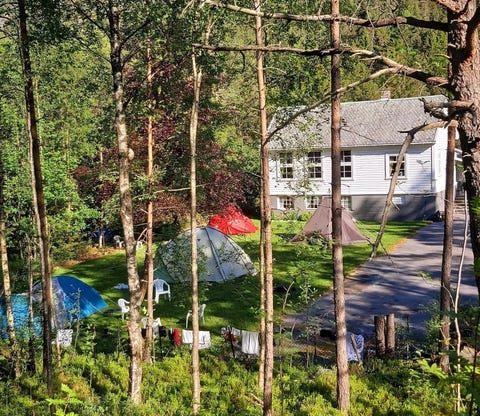 Bilde 1 av annonsen