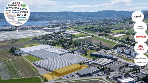 Bilde 2 av annonsen