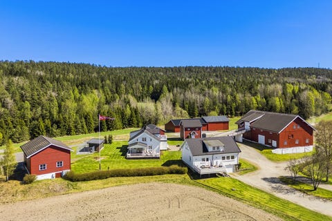 Bilde 2 av annonsen