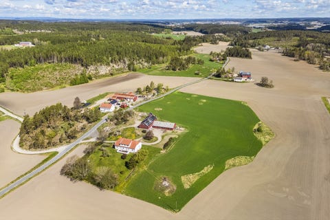 Bilde 2 av annonsen