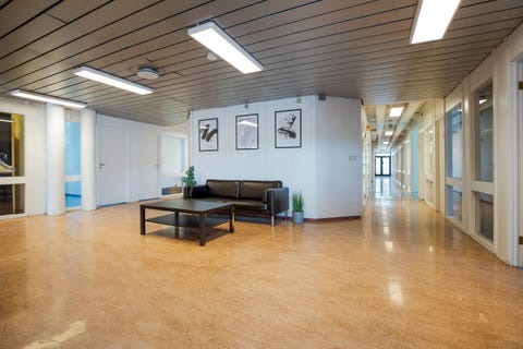 Bilde 2 av annonsen