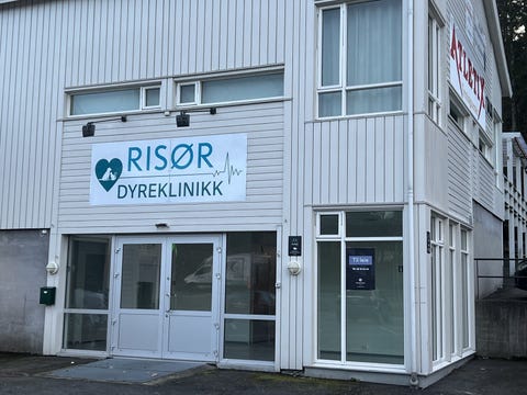 Bilde 2 av annonsen