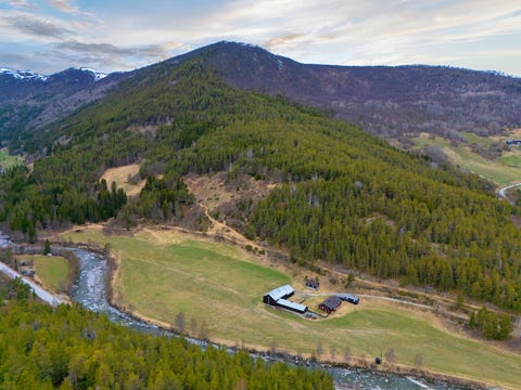 Bilde 2 av annonsen