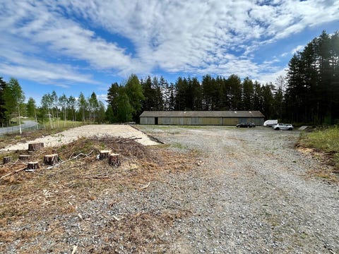 Bilde 1 av annonsen