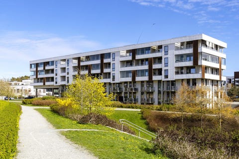 Bilde 1 av annonsen