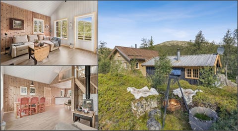 Bilde 1 av annonsen