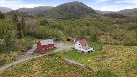 Bilde 1 av annonsen