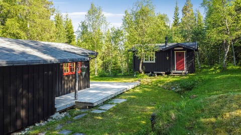Bilde 1 av annonsen