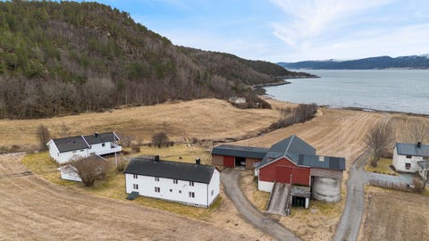 Bilde 1 av annonsen