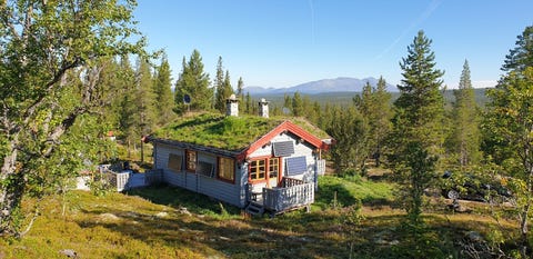 Bilde 1 av annonsen