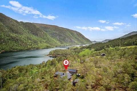 Bilde 1 av annonsen