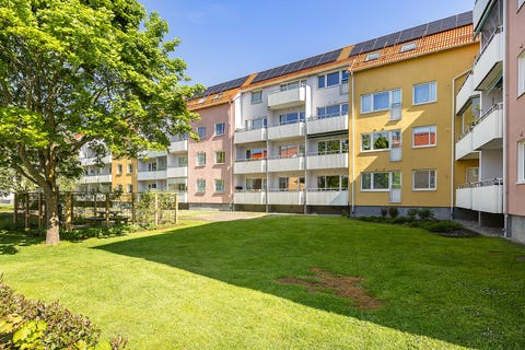 Bilde 1 av annonsen
