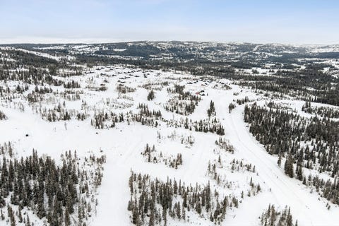Bilde 2 av annonsen