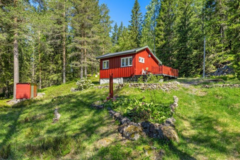 Bilde 1 av annonsen