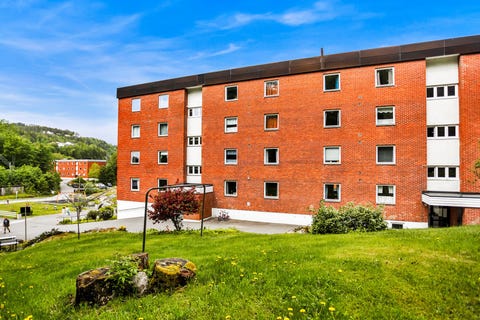 Bilde 1 av annonsen