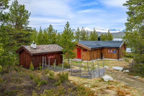 Bilde 1 av annonsen
