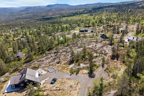 Bilde 2 av annonsen