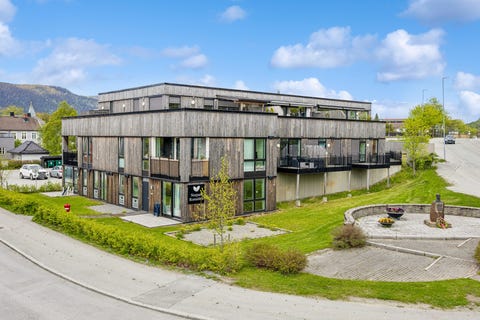 Bilde 1 av annonsen