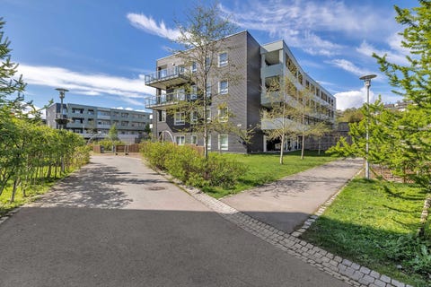 Bilde 1 av annonsen