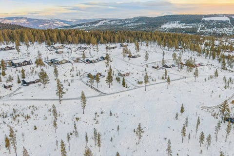 Bilde 2 av annonsen