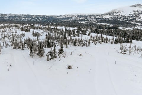 Bilde 2 av annonsen