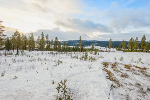 Bilde 2 av annonsen