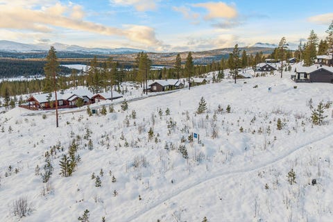 Bilde 1 av annonsen