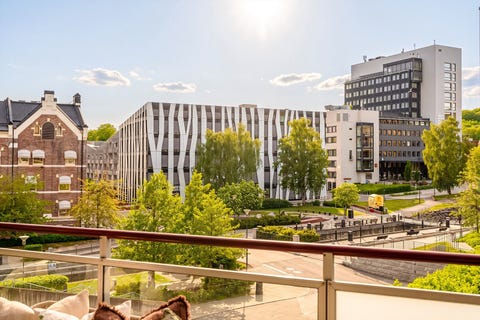 Bilde 2 av annonsen