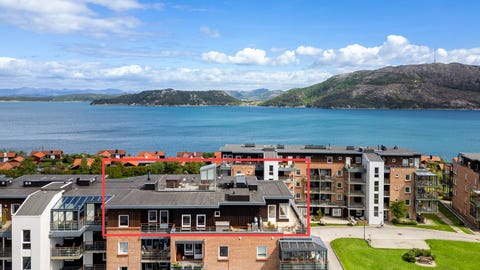 Bilde 1 av annonsen