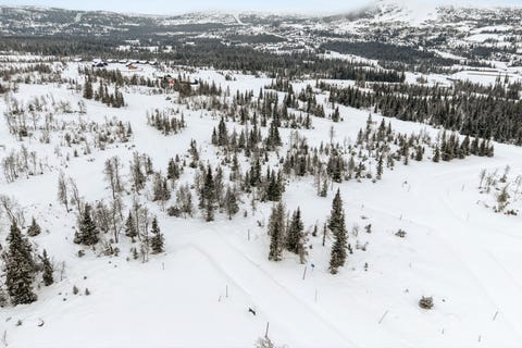 Bilde 2 av annonsen