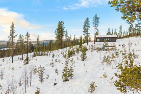 Bilde 2 av annonsen