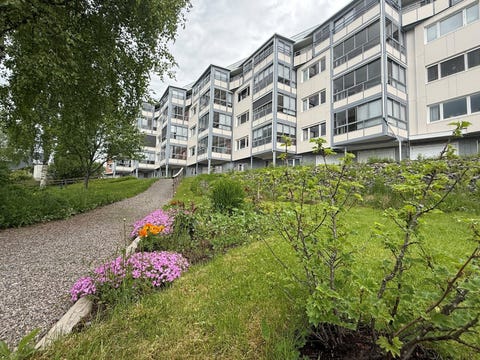 Bilde 1 av annonsen