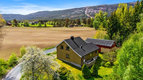 Bilde 1 av annonsen
