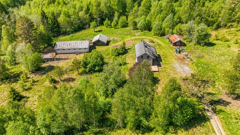 Bilde 1 av annonsen