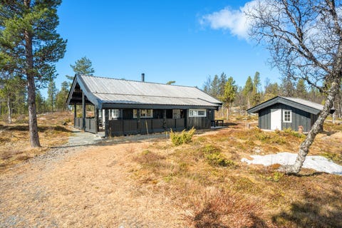 Bilde 1 av annonsen