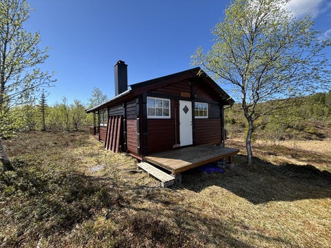 Bilde 1 av annonsen