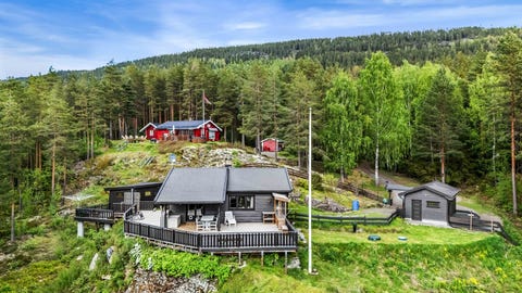 Bilde 1 av annonsen