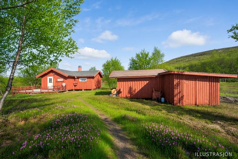 Bilde 1 av annonsen