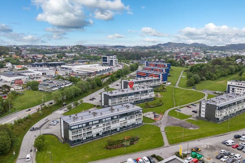 Bilde 1 av annonsen