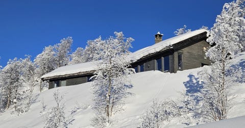 Bilde 2 av annonsen
