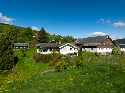 Bilde 2 av annonsen