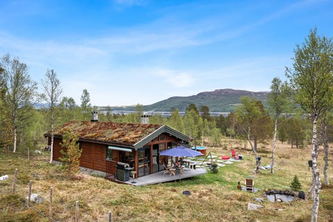 Bilde 1 av annonsen