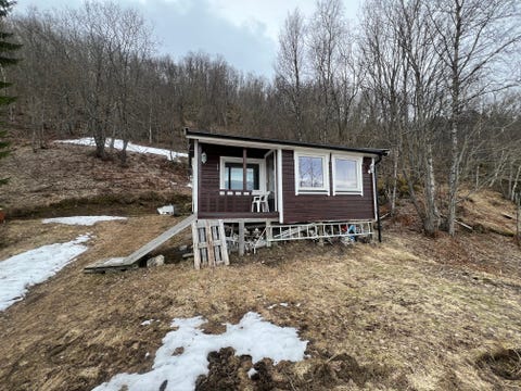 Bilde 2 av annonsen