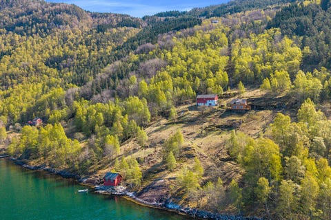 Bilde 2 av annonsen