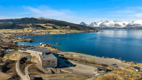 Bilde 1 av annonsen