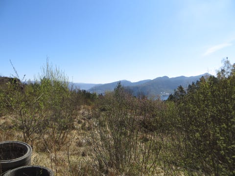 Bilde 2 av annonsen