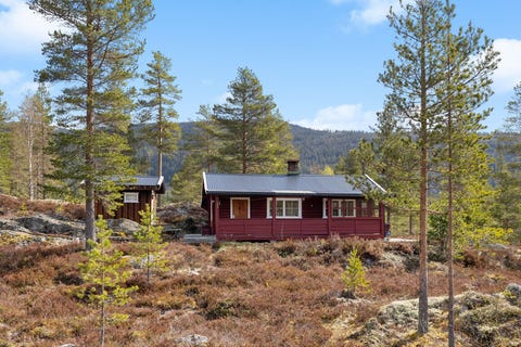 Bilde 1 av annonsen