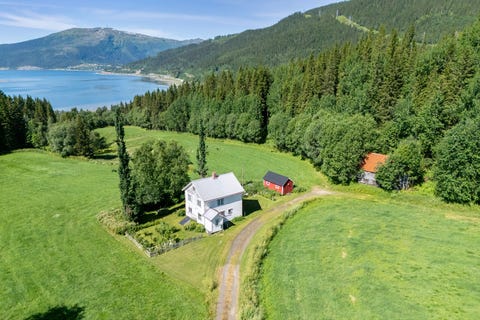 Bilde 1 av annonsen