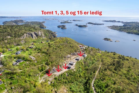 Bilde 2 av annonsen