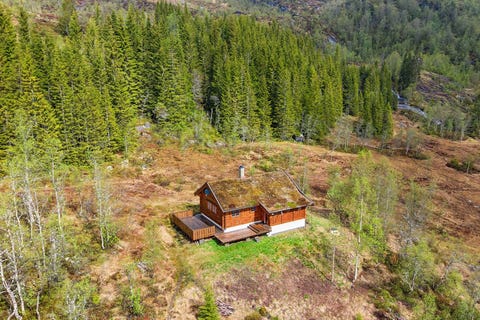 Bilde 1 av annonsen